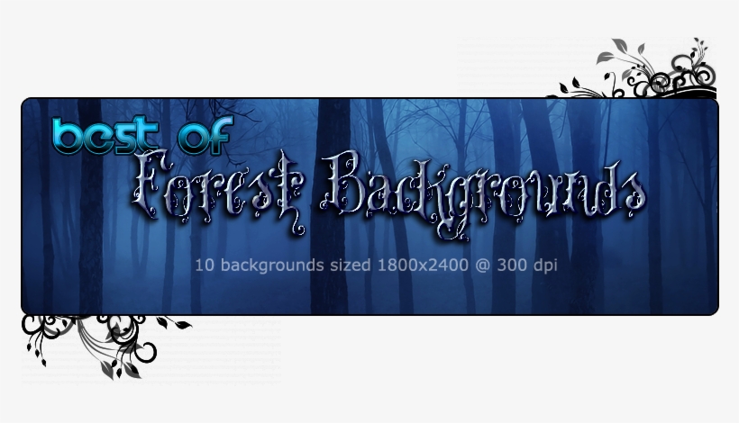 Fs Best Of Forest Backgrounds - 3d Computer Graphics, transparent png download