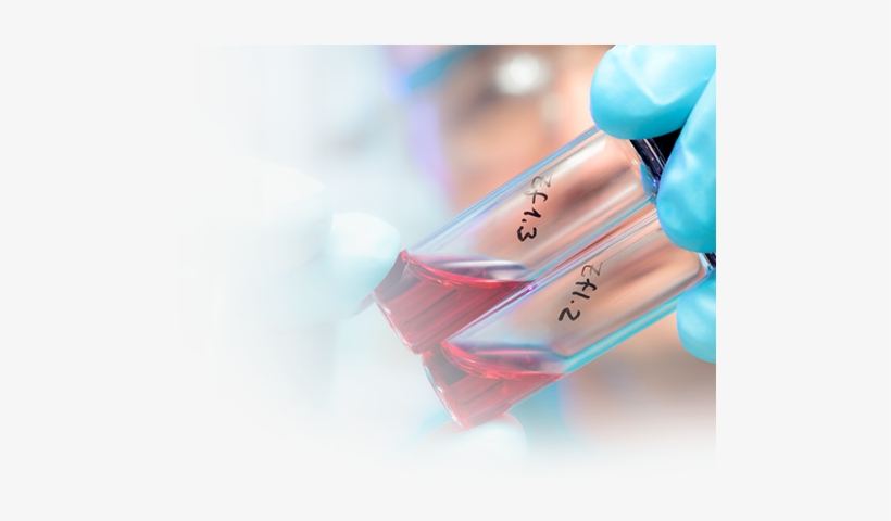 Mount Elizabeth Clinical Laboratory - Sales, transparent png download