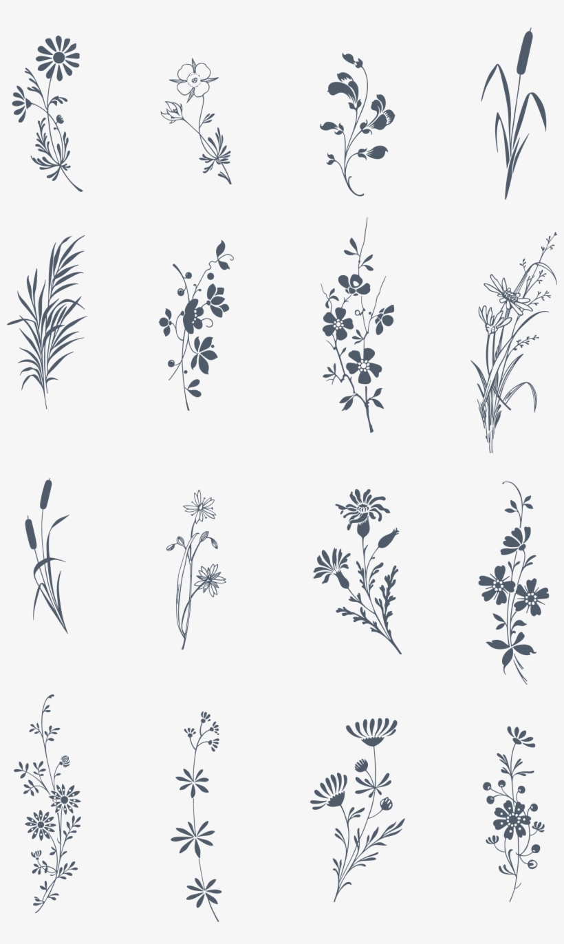 A Somptuous Selection Of Floral And Romatic Ornaments, - Paper, transparent png download