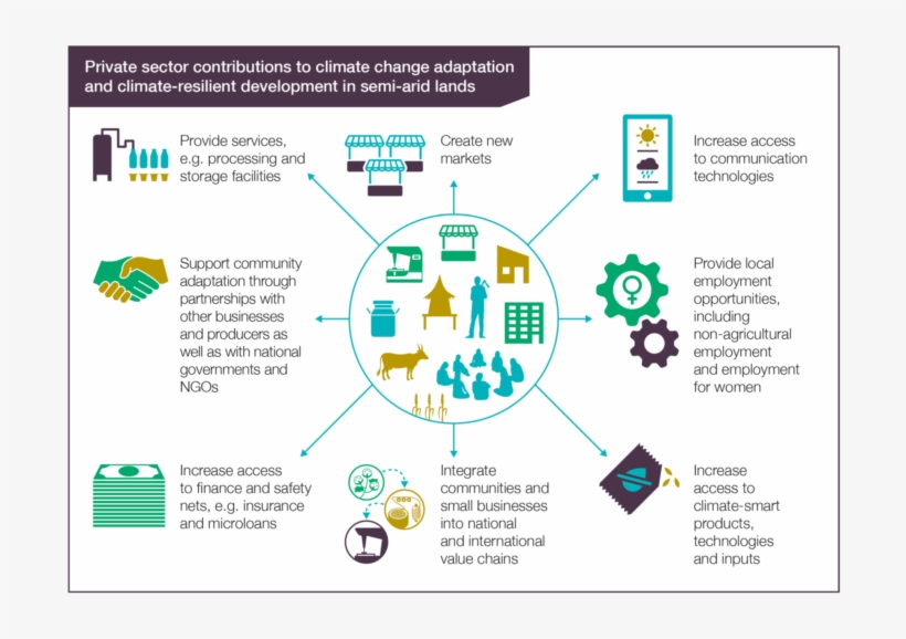 Grantham Research Institute On Climate Change And The - Private Sector Access To Climate Finance, transparent png download