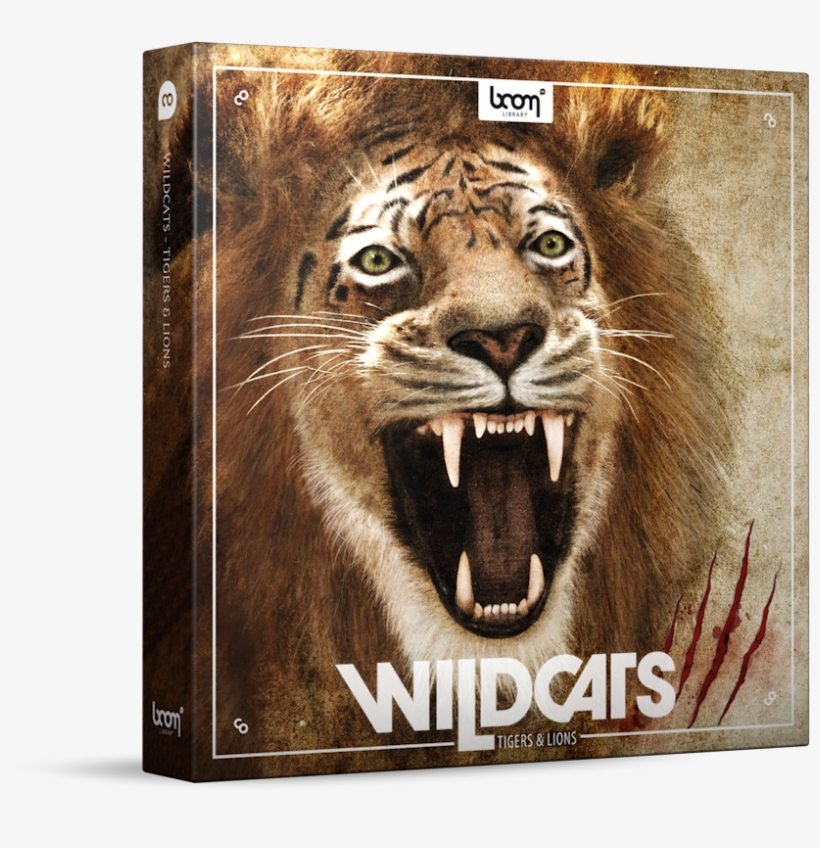The Biggest Lion And Tiger Sound Library To Date - Sound Ideas Wildcats-lions & Tigers Sound Effects, transparent png download