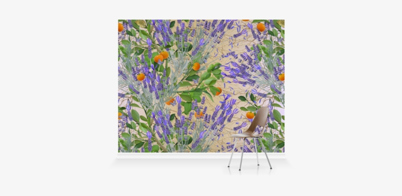 Murals Of Floral Explosion By Michael Angove - Camomile, transparent png download