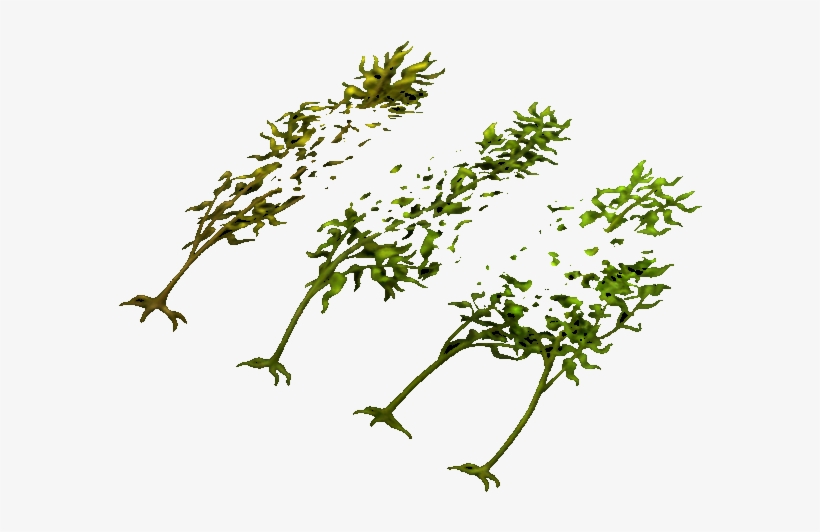 Kelp-0 - Illustration, transparent png download
