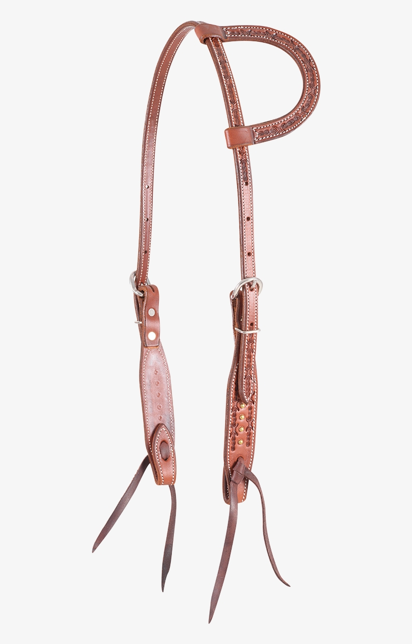Bridle, transparent png download