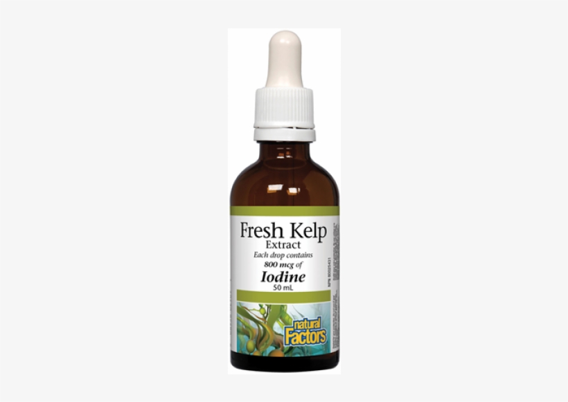 Natural Factors - Liquid Kelp 800 Mcg. - 1.6 Fl. Oz., transparent png download