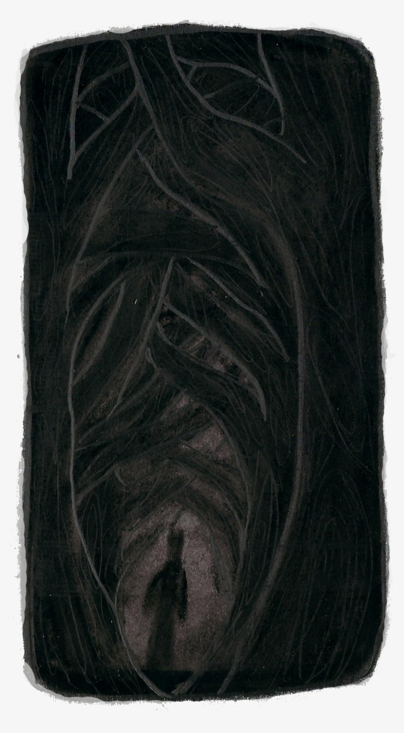 Stallion, transparent png download