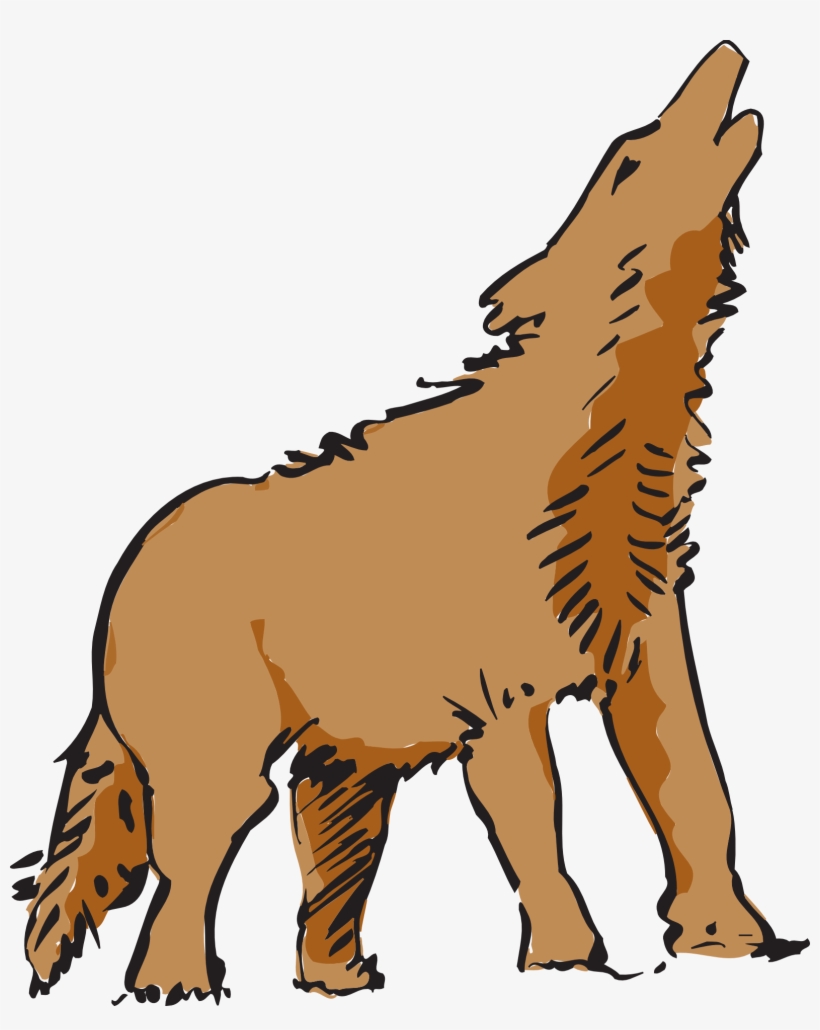 0 Coyote Clip Art Clipart Fans - Wolf Animal Clipart, transparent png download