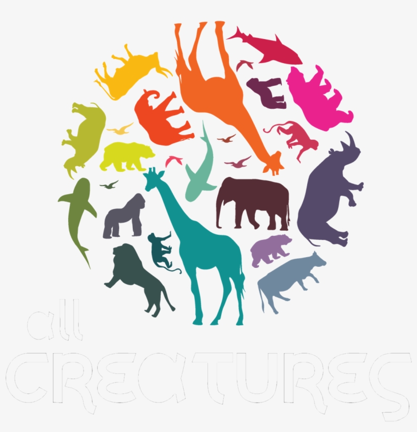 Download Polar Bear Clipart Hq Png Image, transparent png download