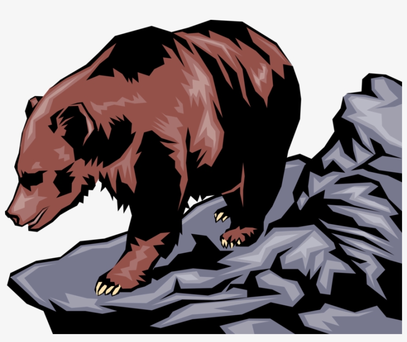 Grizzly Bear Hunts From Shoreline - Brown Bear, transparent png download