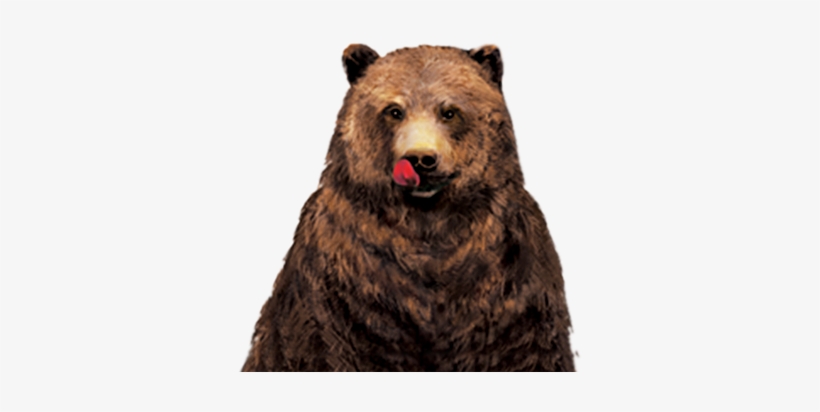 Hungry Bear Character - Hungry Bear Png, transparent png download
