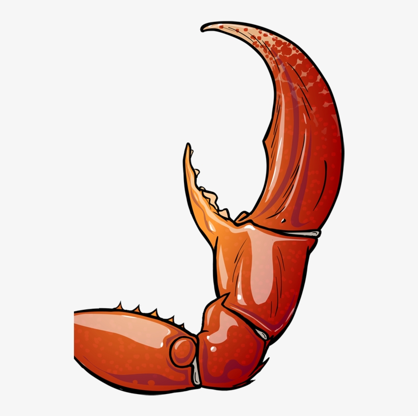 Banner Library Claws Drawing Clip Art - Crab Claw Clipart, transparent png download