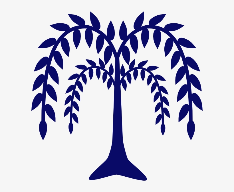 Vector Tree Willow - Weeping Willow Clip Art, transparent png download
