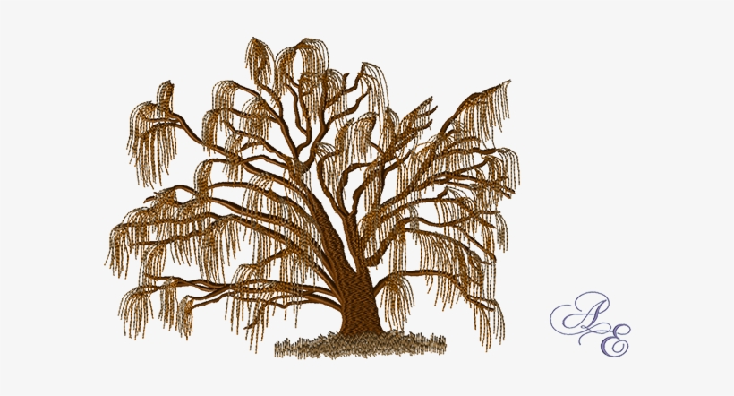 Winter Willow Large - Willow Tree, transparent png download