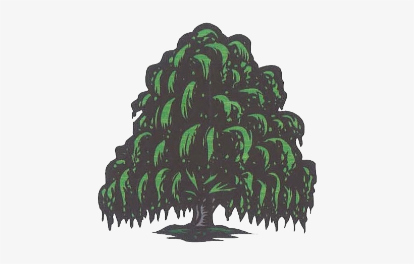 Willow Tree Pre-school - Willow Tree, transparent png download