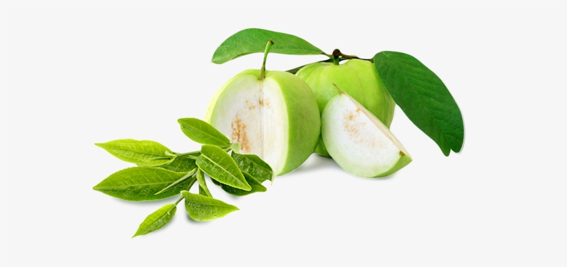 Guava Download Png - Guava Png, transparent png download
