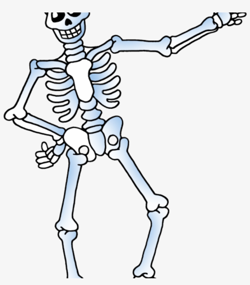 Skelton Clipart Free Skeleton Clipart Public Domain, transparent png download