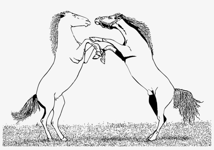 Fighting Png, transparent png download