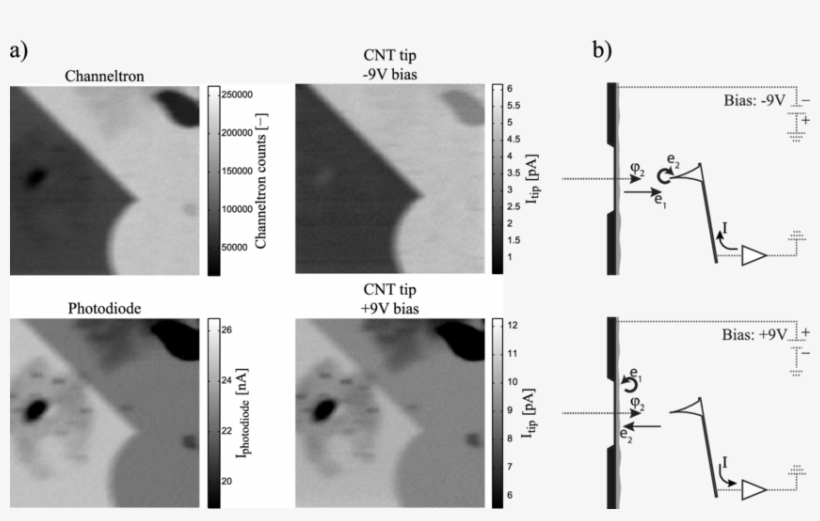 Stxm Images Recorded At The Crl 3 -edge By Channeltron, transparent png download