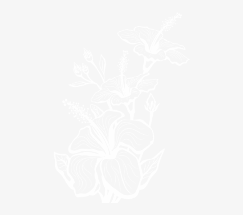 Download Floral Decoration Transparent Clipart Png, transparent png download