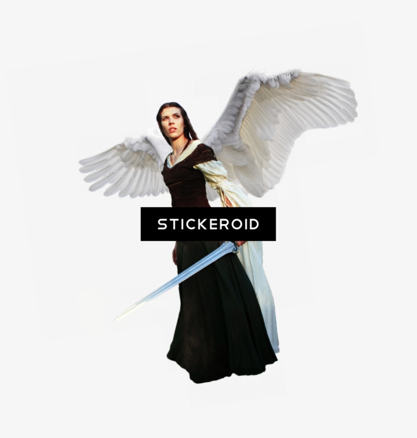 Angel Warrior, transparent png download