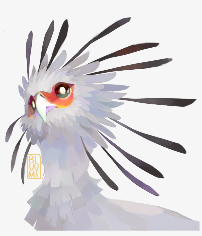 （・θ・）birb Of The Week, transparent png download