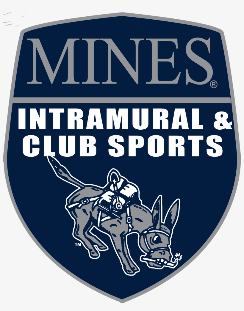 Blue Shield Png, transparent png download