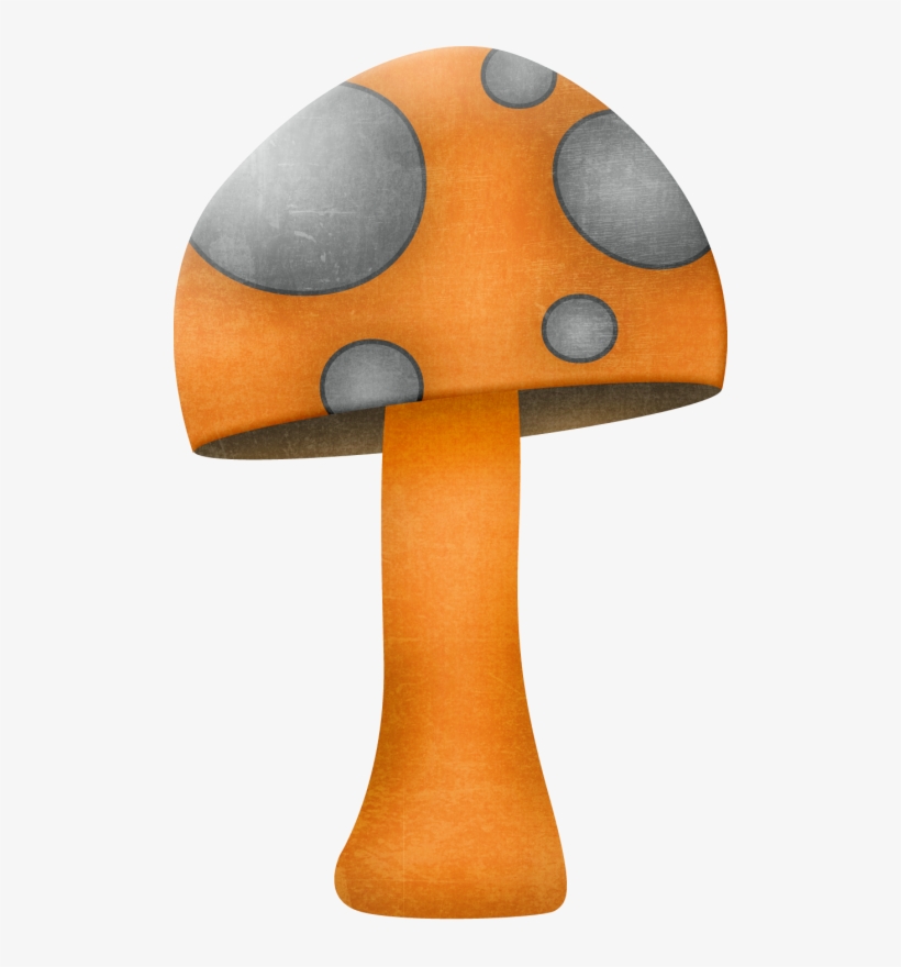 Фото, Автор K, transparent png download