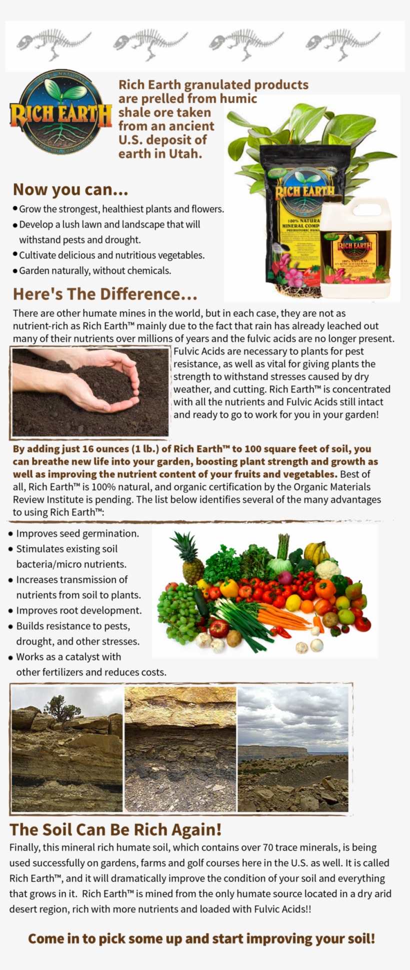 Rich Earth Web2-01, transparent png download