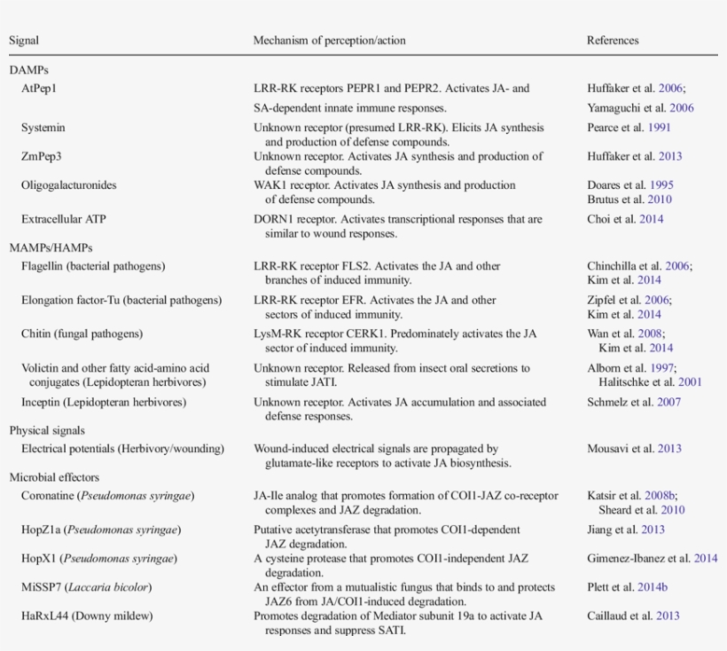 Select Examples Of Danger Signals And Effectors That, transparent png download
