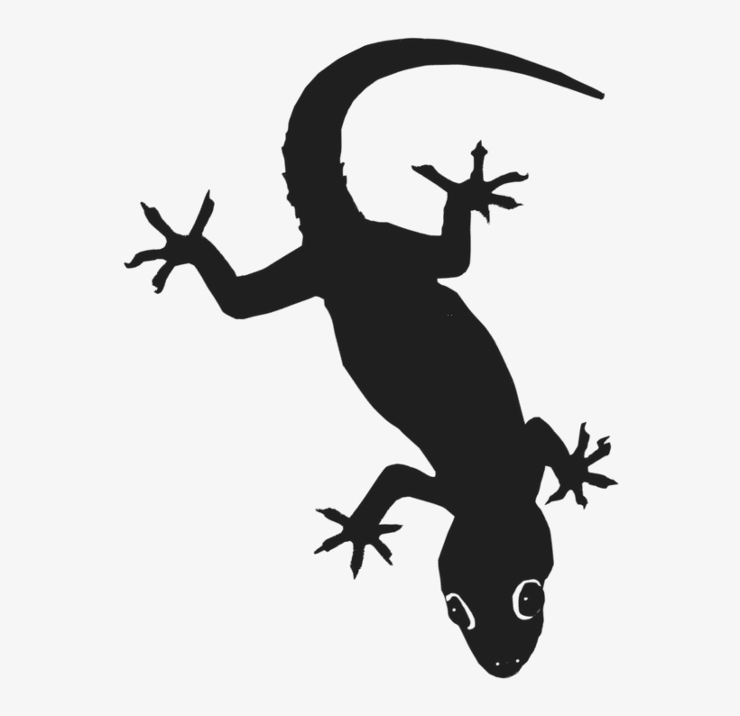 Gecko Png, transparent png download