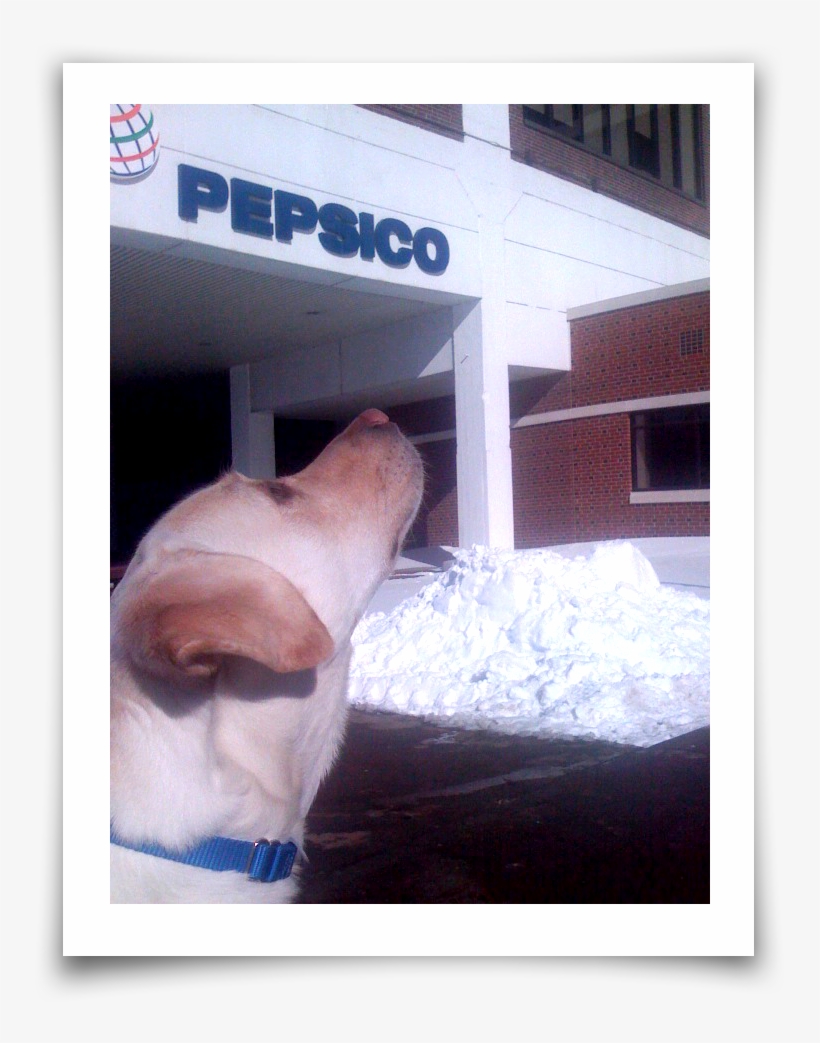 A Huge Thank You To Pepsi Enable, transparent png download