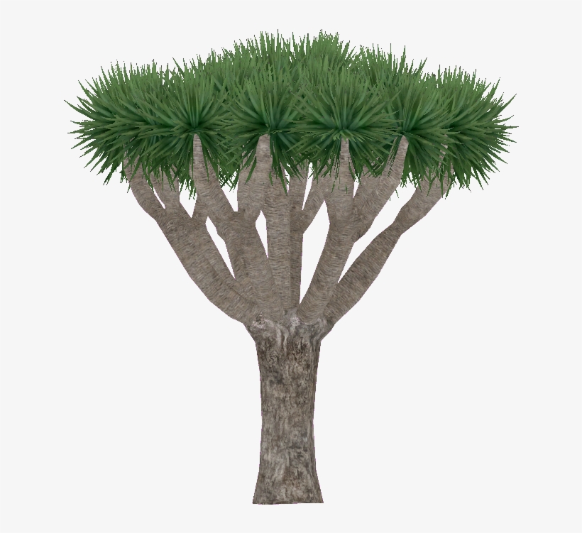 Draco Png, transparent png download