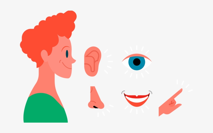 Sensors Process Information In A Concrete, Realistic, transparent png download