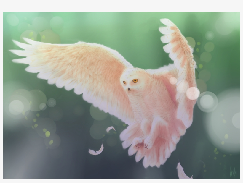 My Art Hedgesketch Doodles And Hedgehogs Owls Small, transparent png download