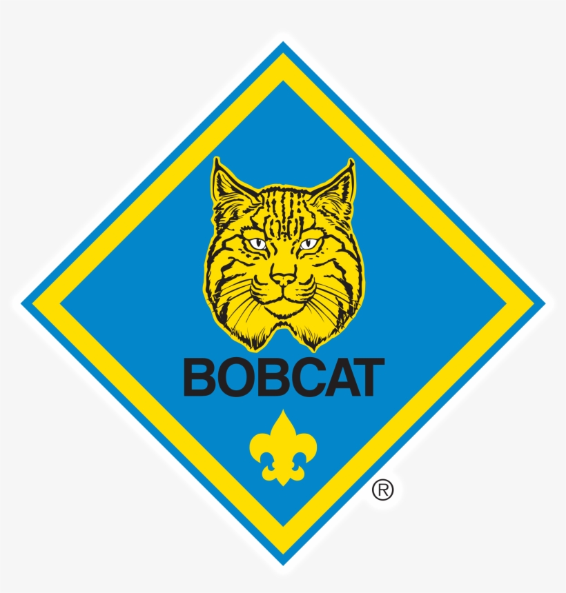 Boy Scouts Of America® Tall Cake Message And Emblem, transparent png download