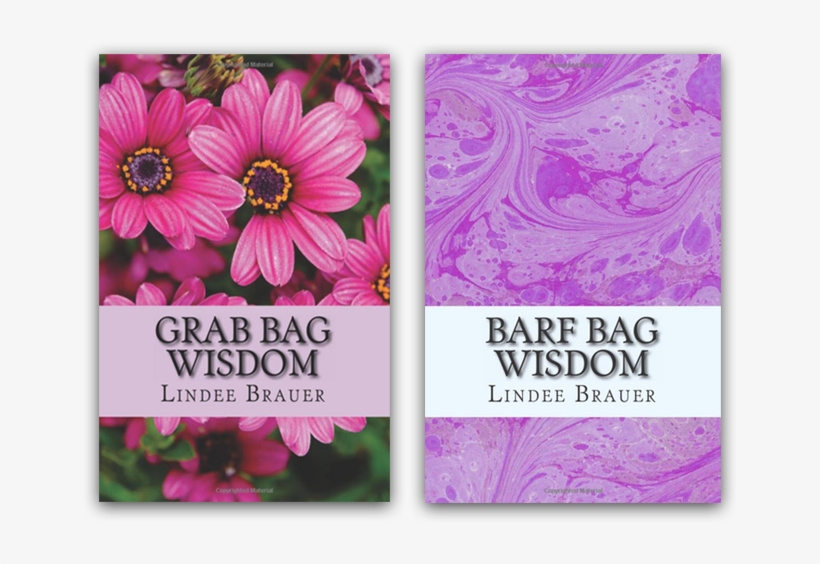 Read Her Blog, Adventures Of A Corporate Gypsy, Or, transparent png download