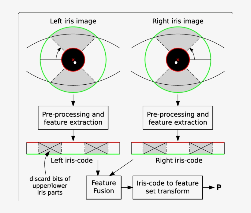 Proposed Multi Instance Fusion, transparent png download