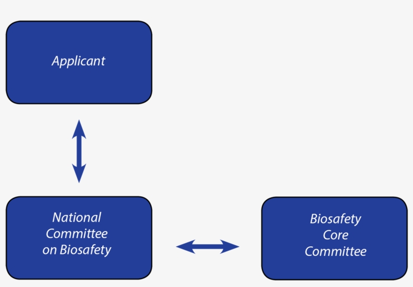 The Regulatory Process Of Importation Of Lmos Applications, transparent png download