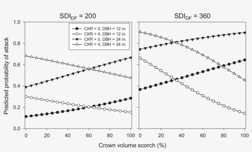 Predicted Probability Of Douglasfir Beetle Attack As, transparent png download