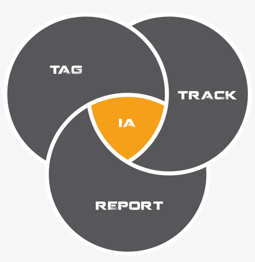 Intelligent Accountability, transparent png download