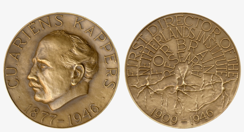 Ariëns Kappers Medal, transparent png download