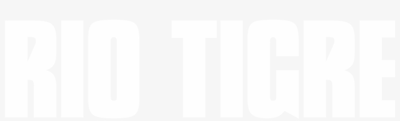 Rio Tigre Is A Brooklyn Based Artist Blending Synth, transparent png download