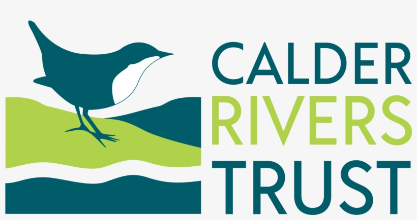 Crt Colour Logo Web Transparent 1, transparent png download