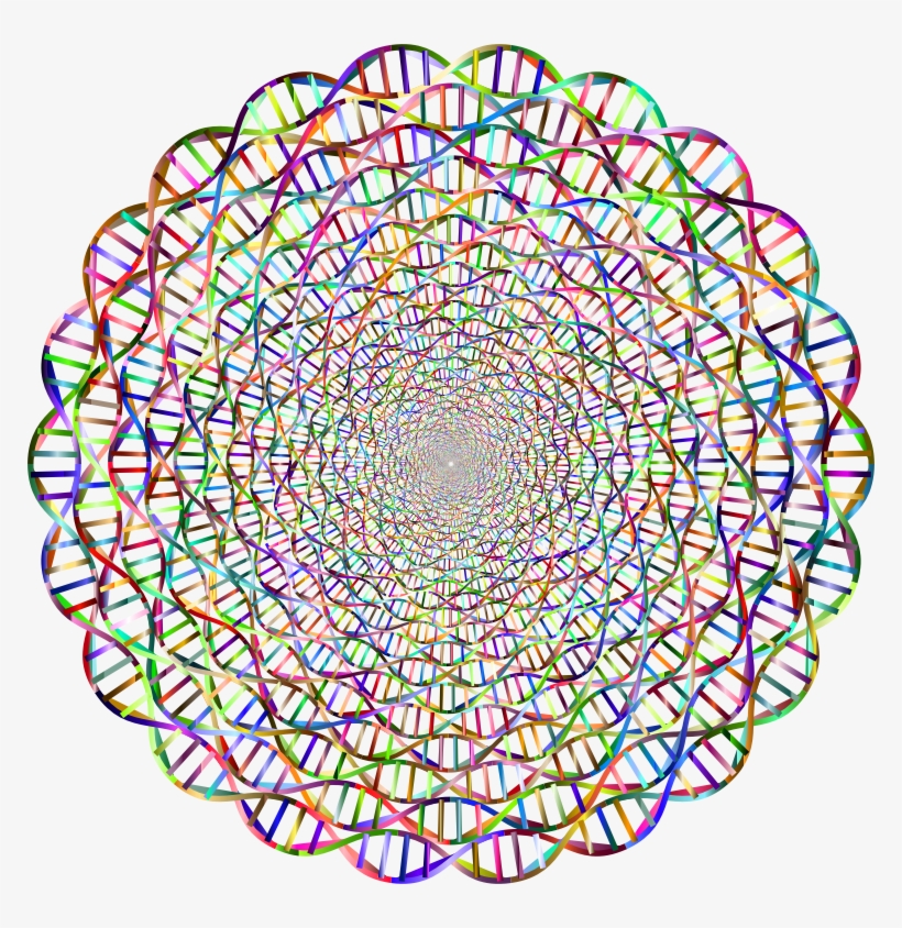 Medium Image, transparent png download