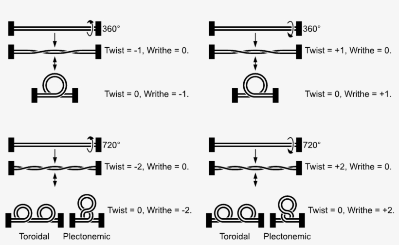 “it, transparent png download