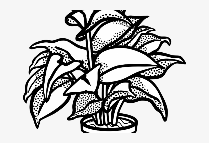 Potted Plants Clipart Drawn, transparent png download
