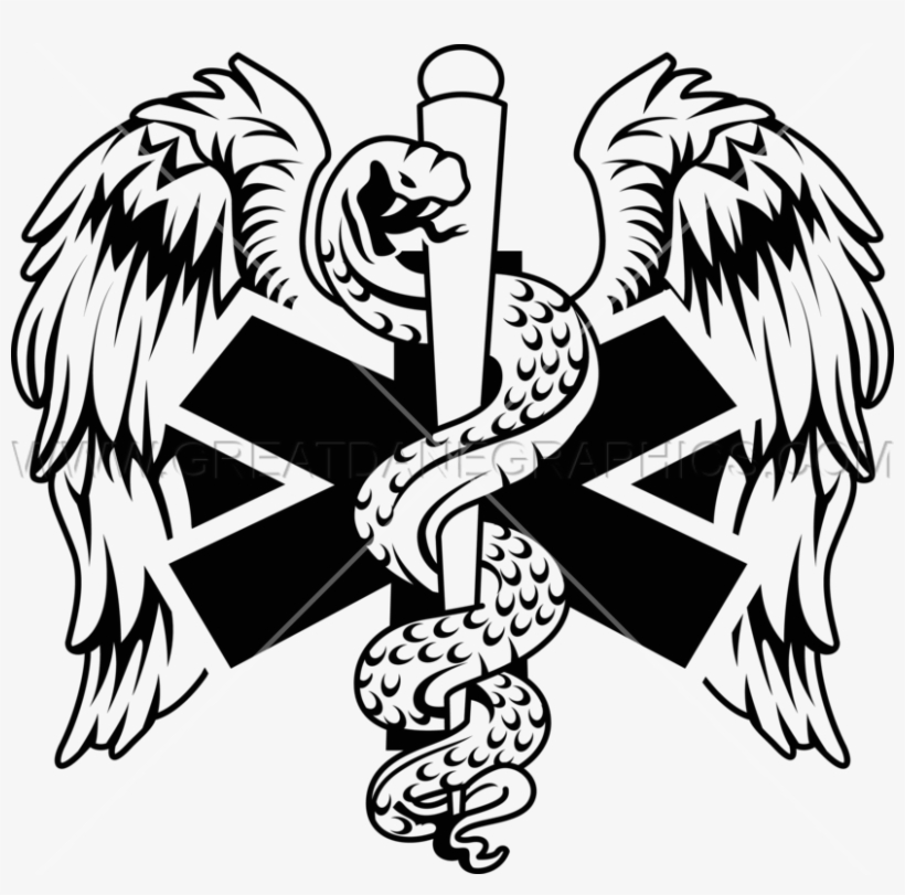Image Result For Ems Flight Wings, transparent png download
