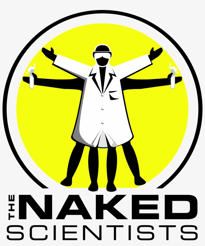 A Project That Began As A Small Scale, Bedroom Based, transparent png download