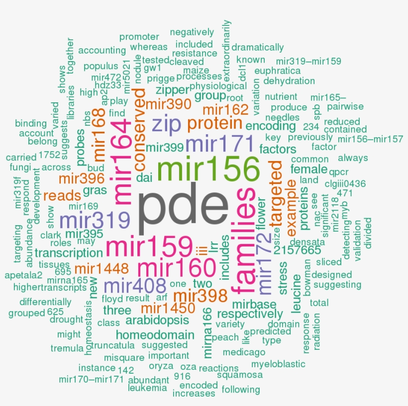 Stem Loop Sequence Ptc Mir166p, transparent png download
