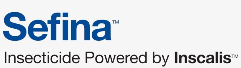 Sefinatm - Overview, transparent png download